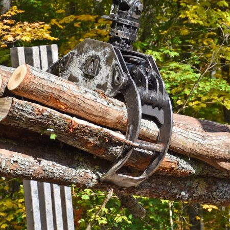 1-4 Cord Bunching Grapple - Grabbing Logs 10-2-2025 (4) Cropped for Web Site