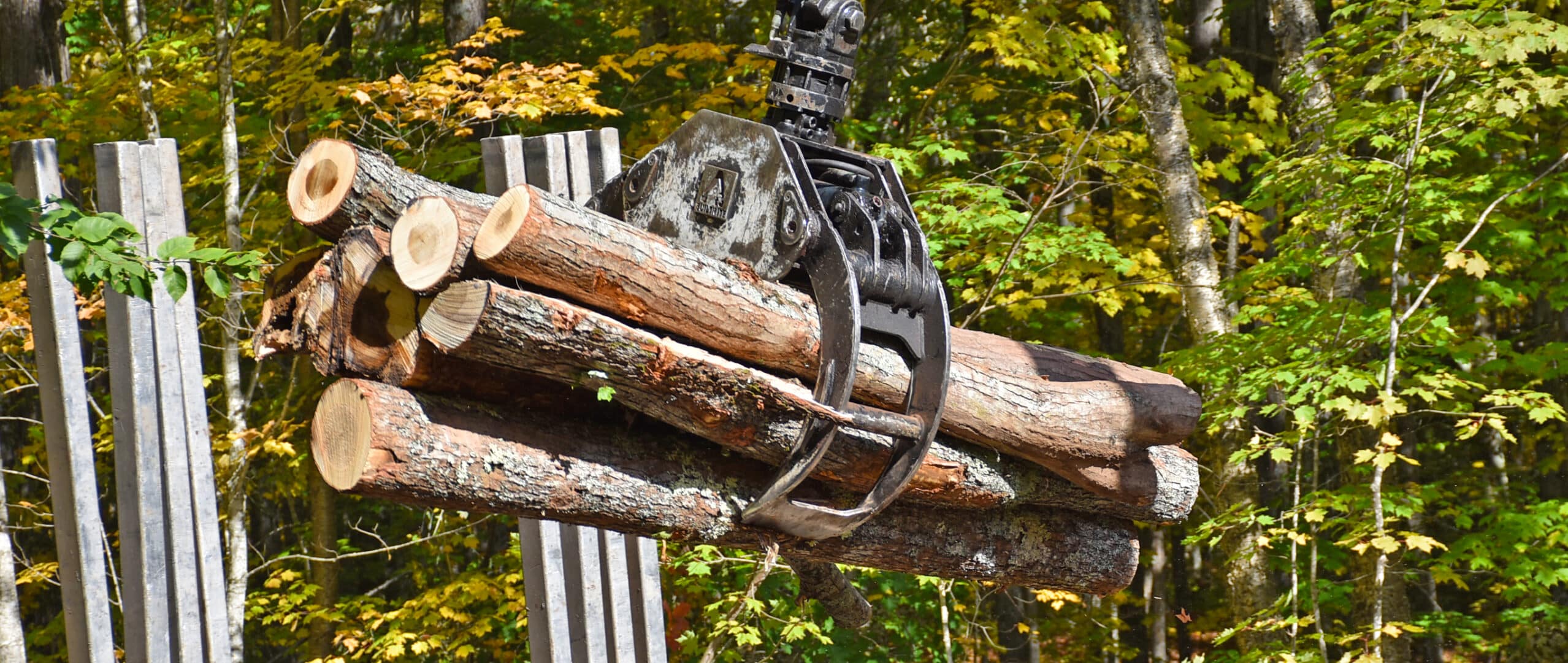 1-4 Cord Bunching Grapple - Grabbing Logs 10-2-2025 (4) Cropped for Web Site